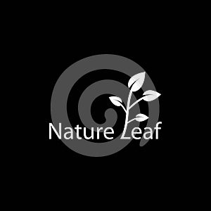 Nature leaf vector template