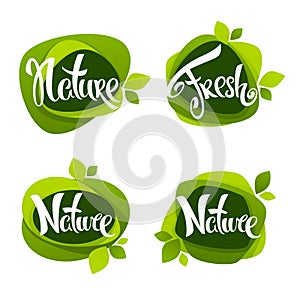 Nature lettering, vector collection of leaf labels, stickers and emblems