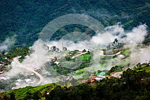 Nature Lighting Road in fog between road go to Phu Tabberk