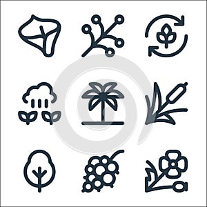 Nature line icons. linear set. quality vector line set such as poppy, berries, tree, reed, palm, sprout, agronomy, branch