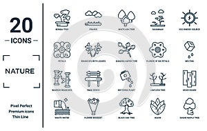 nature linear icon set. includes thin line bonsai tree, petals, bamboo branches, waste water, sugar maple tree, quaking aspen tree