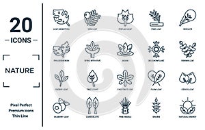 nature linear icon set. includes thin line leaf monstera, philodendron, cherry leaf, bilberry leaf, natural energy, asian, cercis