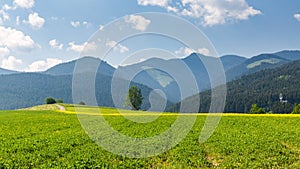 Nature in Liptov region, Slovakia in summer 2015