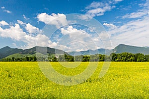 Nature in Liptov region, Slovakia in summer 2015