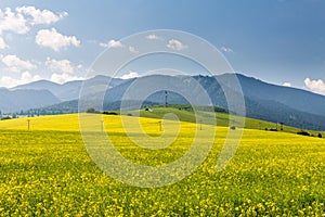 Nature in Liptov region, Slovakia in summer 2015