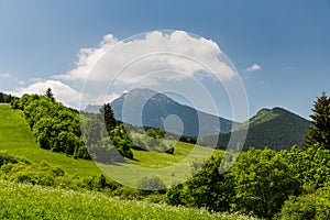 Nature in Liptov region, Slovakia in summer 2015