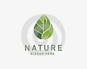 nature logo creative leaf health design concept illustration herbal logo symbol