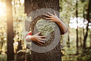 Nature lover, close up of child hands hugging a tree