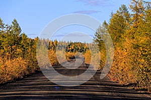 Natura da regione. foresta strade durante d'oro autunno. sporco strade 