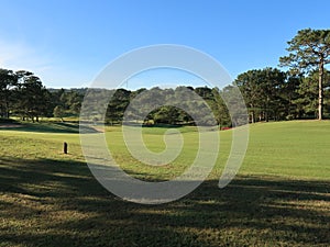 Nature with magic sunrays, sunshine, light and green grass, meadow. Photo use in idea design for golf, fresh environment part 13