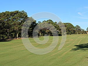 Nature with magic sunrays, sunshine, light and green grass, meadow. Photo use in idea design for golf, fresh environment part 12