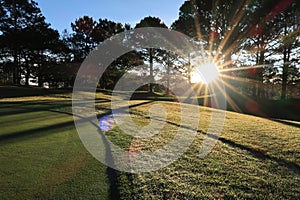 Nature with magic sunrays, sunshine, light and green grass, meadow. Photo use in idea design for golf, fresh environment part 54