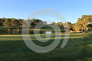 Nature with magic sunrays, sunshine, light and green grass, meadow. Photo use in idea design for golf, fresh environment part 60