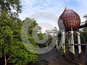 Nature, mangrove birdwatching hide