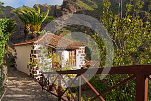 Nature in Masca Village, Tenerife