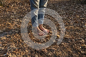 Nature massage. Barefoot foots on forest ground. Shoeless human legs at nature