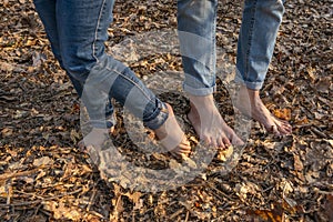 Nature massage. Barefoot foots on forest ground. Shoeless human legs at nature