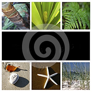 Nature montage photo