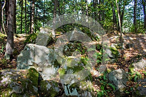 Nature monument `Chertovo Gorodische` in Kozelsk, Russia