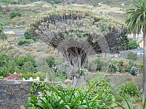 Nature monuments of Spain