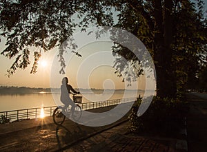 Nature in the morning sun