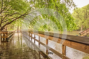 Nature at morrison springs florida