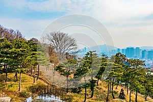 Nature of Namsan park