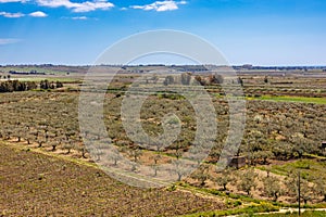 Nature near Castelvetrano in western Sicily