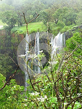 Nature near Chorla ghat