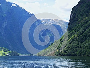 Nature Norway summer. Water, forest fjord on a Sunny day