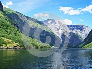Nature Norway summer. Water, forest fjord on a Sunny day