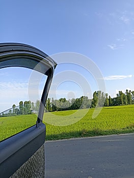 In nature, nothin is perfect and everything is perfect