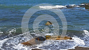 Nature Ocean swirl wave in Badouzi Fishing port, Taiwan Taipei