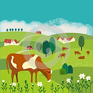 Cow on meadow