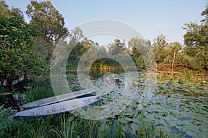 Nature park Hutovo Blato boats