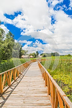 Nature park Kopacki Rit, region of Baranja, Croatia