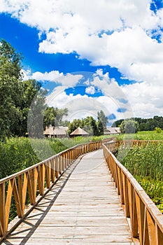 Nature park Kopacki Rit, region of Baranja, Croatia