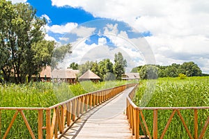 Nature park Kopacki Rit, region of Baranja, Croatia