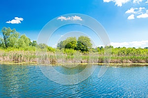 Nature park Lonjsko polje, Croatia