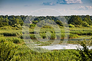 Nature park Lonjsko Polje in Croatia, Europe