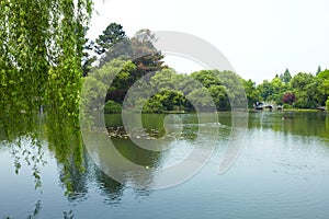 Nature park scenery, Hangzhou