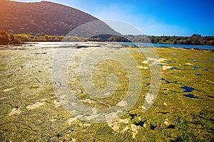 Natural resources Marisma de Joyel. Arnuero, Cantabria, Spain photo