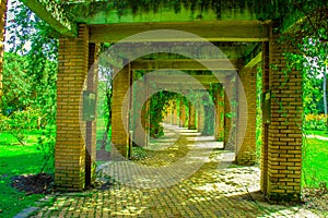 Nature passage with arcs on tropical enviroment