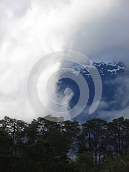 Nature in Patagonia, carretera austral, Chile. Andes mountains