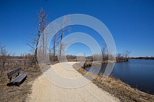 Nature path dividing a lake of water