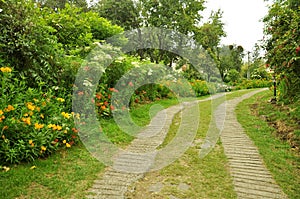 Nature path with garden