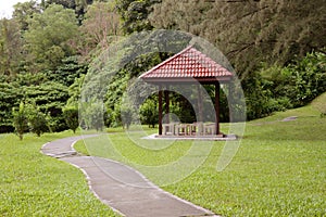 Nature path with garden