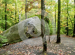 Nature Path in Ontario