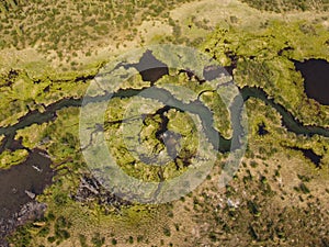 Nature pattern of creek meander wetland swamp