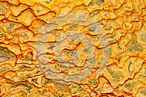 Nature pattern iron oxide mineral sediment crust